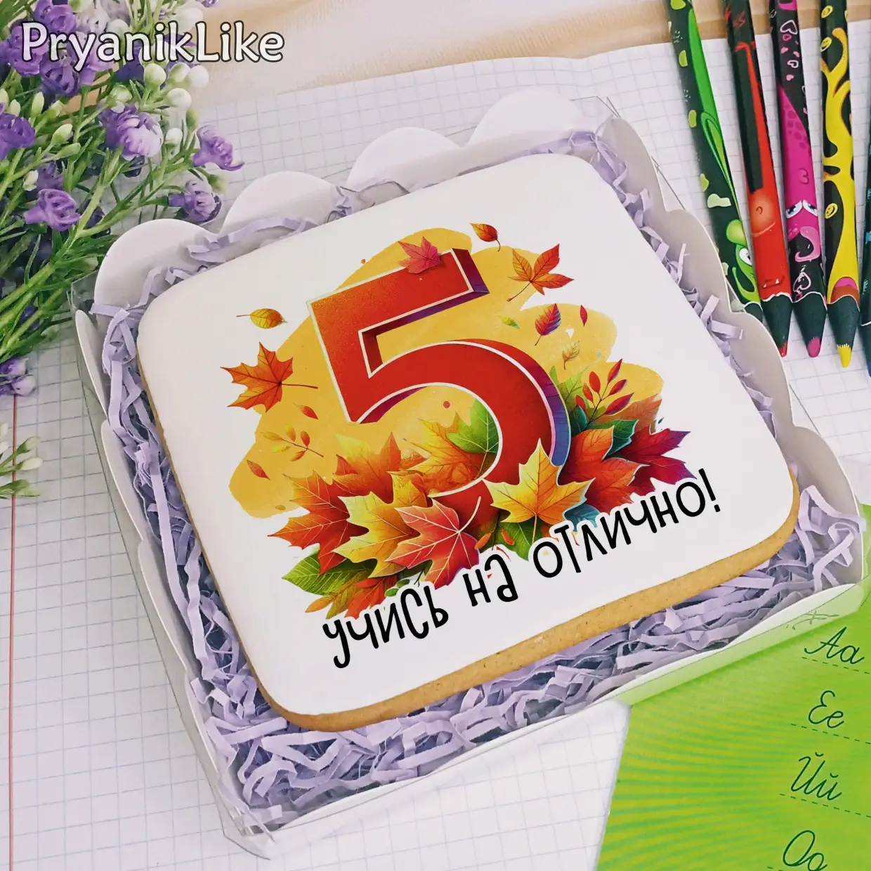 (2024) Белки (10-10)